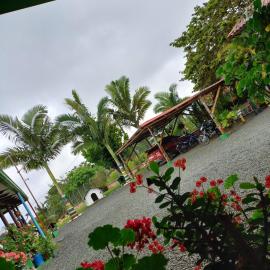 Finca Hotel el Vergel Filandia Quindio