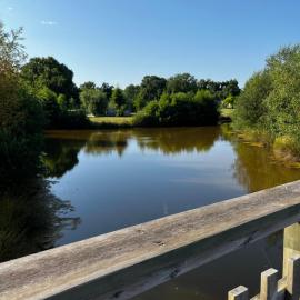 Le Nid du Teich