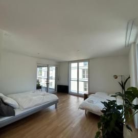 The R Apartment Passwang, Balkon, Kostenloses Indoor-Parking, hotel em Balsthal