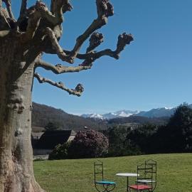 Belle Béarnaise, hotel en Bidos