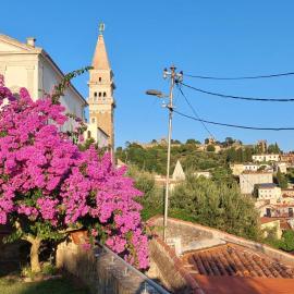Holiday Home Amazing View, hotel i Piran
