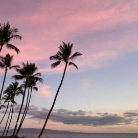 Kamaole Sands Walk to Sand, Shops and Restaurants