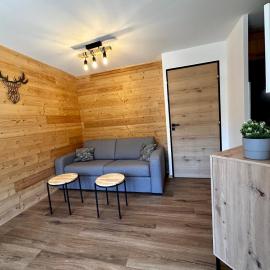 Appartement T2 6 personnes vue sur l’Eyssina