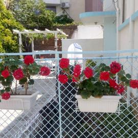 Romance, hotel a Pomorie