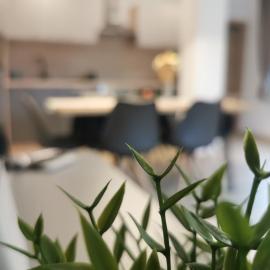 Apartma Bella Nadiža
