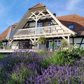 Romantik-Suite Nordelsaß B&B, hotel in Oberhoffen-lès-Wissembourg