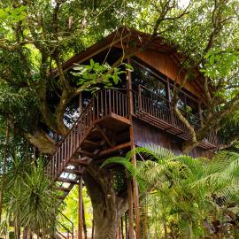 Hotel Heliconias Nature Inn & Hot Springs: Fortuna şehrinde bir otel
