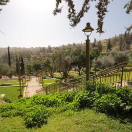 Peace Forest Jerusalem - Cabins & Caravans by City of David, хотел в Йерусалим