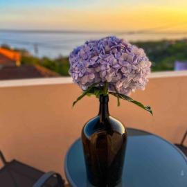 Apartment 1BR Hills over Ponta do Sol, sea view