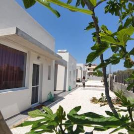 sun kiss houses