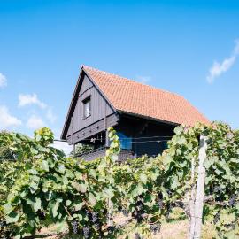 SCHILCHERLANDLEBEN - Weingartenhaus