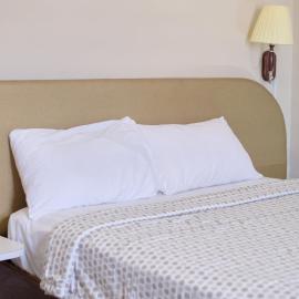 Gess Hotel, hotel u gradu Paramaribo
