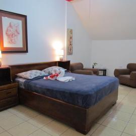 Hostel Shakti – hotel w San José