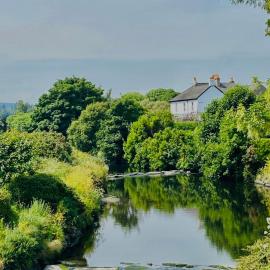 Grey Heron Townhouse