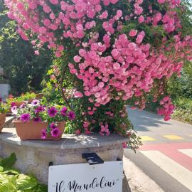 Casa vacanze il Mandolino tra Orvieto e Bolsena