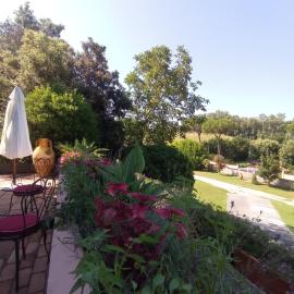 The Olive Grove Roma Guest House