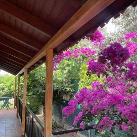 Ideal Cottage Holidays-Ιδανικές Εξοχικές Διακοπές, hotel v destinácii Áyioi Apóstoloi
