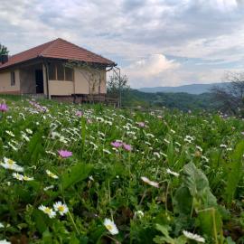 Etno House Jakic, ξενοδοχείο σε Bajina Bašta
