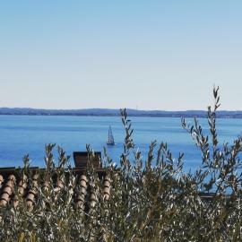 Relax al Porto - 180 degrees of exciting Garda lake views、モニーガのホテル