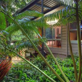 Chambers Wildlife Rainforest Lodges, hotel a Lake Eacham