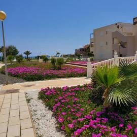 Casa baja naturista con palmeras y patio!
