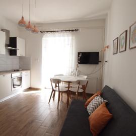 In the Center of Rogaška Slatina! Apartment Fani and Studio Marija