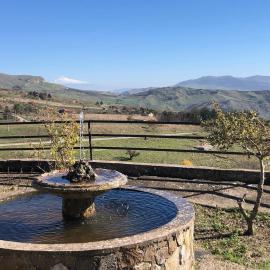 MADONIE Guest House