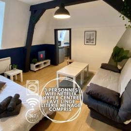 La Maison Sévigné Appart Hôtel N5 climatisé