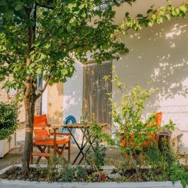 The apricot tree studio