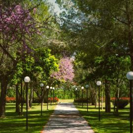 Green Park Divjake, hotel en Divjakë