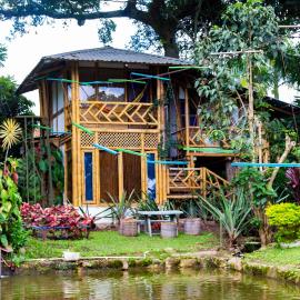 CASA DEL ÁRBOL, Romántico, Piscina, en Chinauta, el mejor clima, hotel v destinaci El Michú