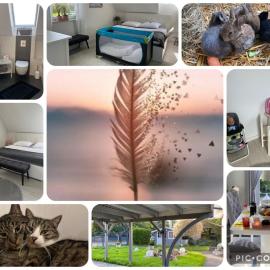 Bed and Breakfast - 2 Schlafzimmer - 6 Personen - Stadtrand - S-Bahn - Parkplatz - Immanuel Helios Klinikum