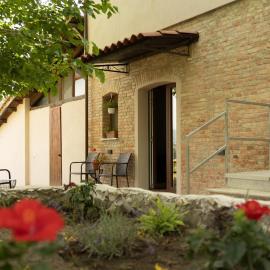 Tenuta I Gelsi