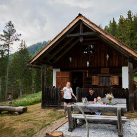 Waldhütte KOSAK - jetzt neu mit Bad & WC, hotel in Trofaiach