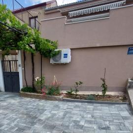 Vita