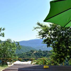 Agriturismo Il Loppo, your Home in the Woods，斯佩洛的飯店