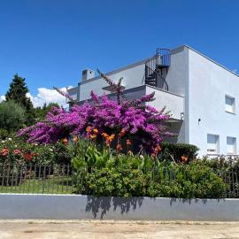 Villa Daniel