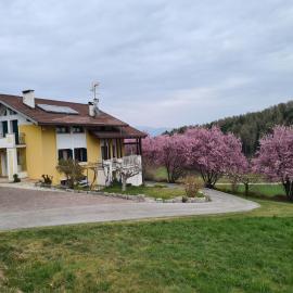 Casa Solaris