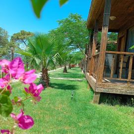Karpaz farm guest house, Hotel in Rizokarpaso
