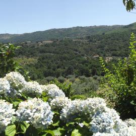Quinta do Pina, hotel en Guarda