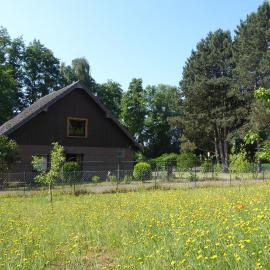 Ferienhaus an der Borner Mühle, khách sạn ở Brüggen