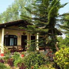 Bardia Homestay Pvt. Ltd.