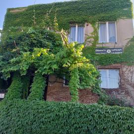 Dima's Guesthouse