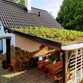 Agroturystyka u Cezarego, hotel en Liniewo