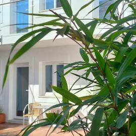 Apartamentos Naturalis