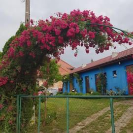 Agroturystyka Jagoda, hotel a Kołczewo