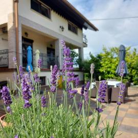 Apartman Nada, Hotel in Ozalj