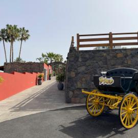 Finca Pico, hotel in Los Realejos