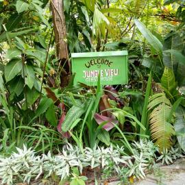 Jungle View Homestay & Guesthouse Only Stay Here Book Treking With Us