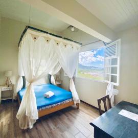 Chambre et SDB privative Ylang Ylang vue Mont Pelée dans maison partagée, hotel v destinaci Le Morne Rouge